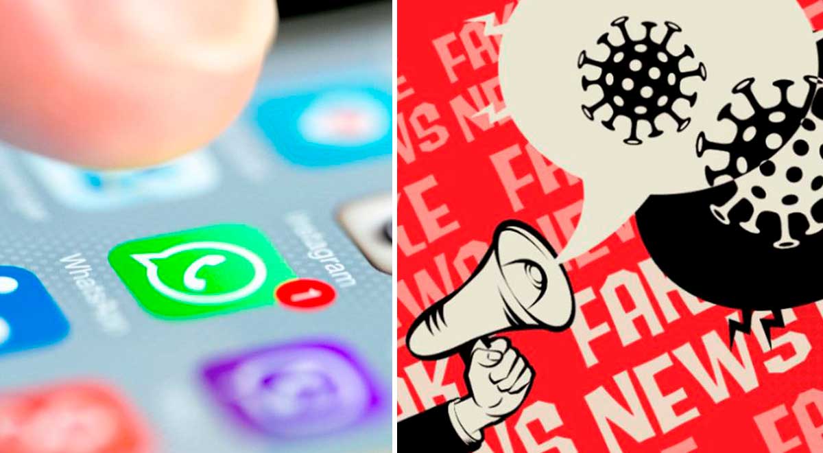 WhatsApp - GUÍA: cómo detectar fake news que son compartidos