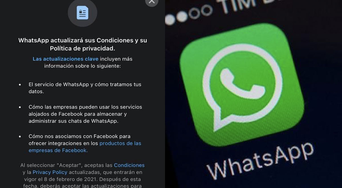 WhatsApp: revisa por qué debes aceptar las nuevas políticas de la app