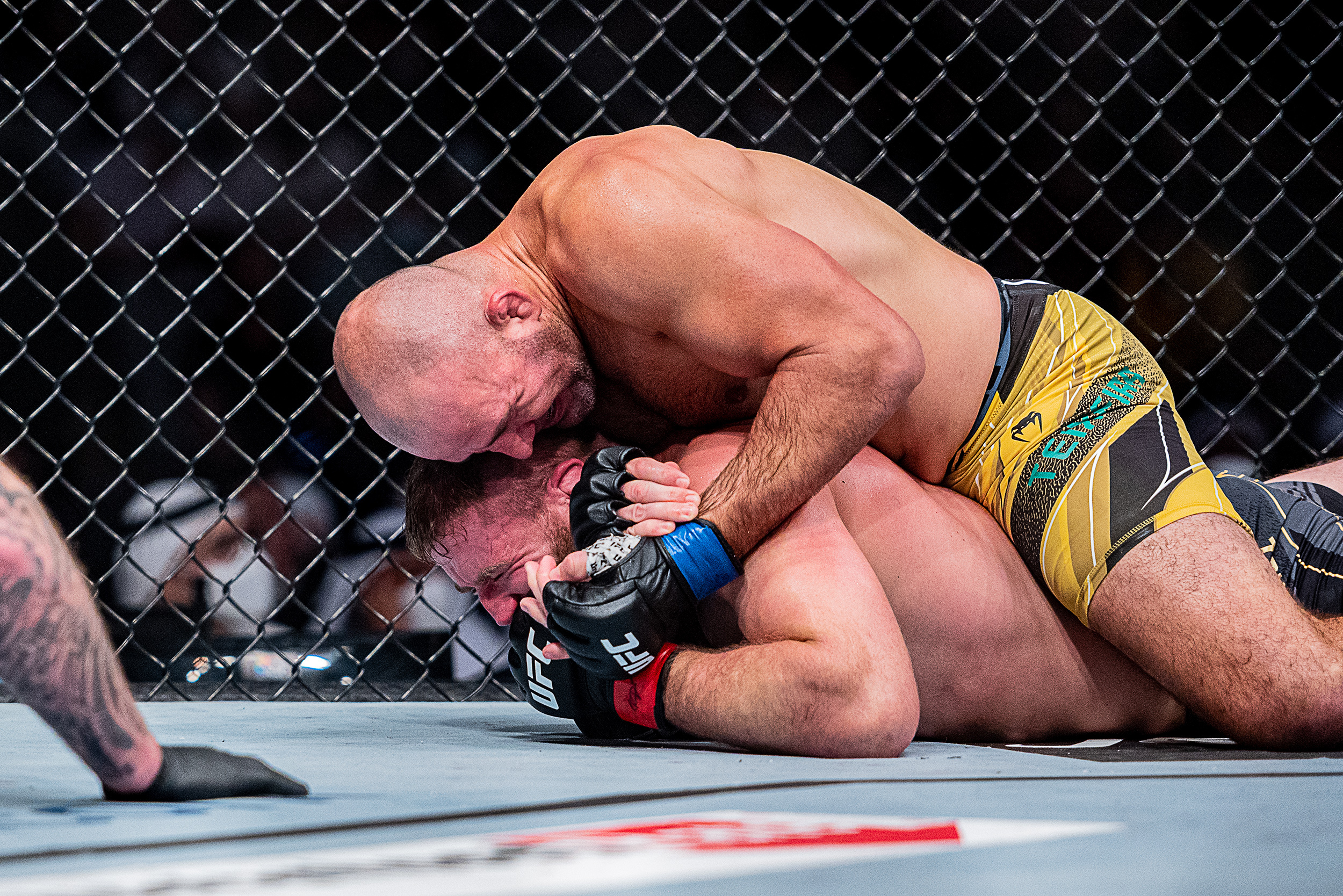 UFC 267: Teixeira defeats Blachowicz and the new light heavyweight champion.
