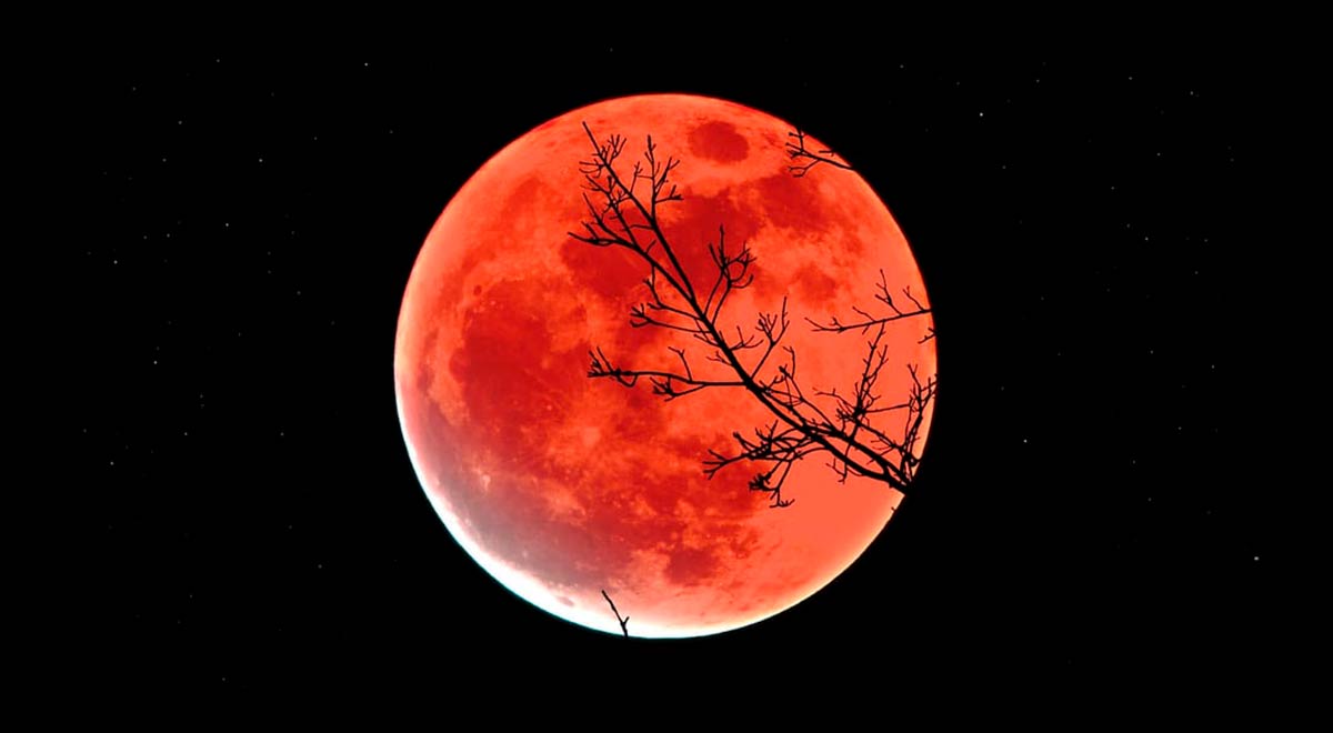 Eclipse lunar: Fecha, horarios y cómo ver el evento astronómico desde Latinoamérica