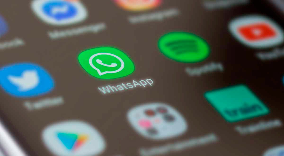 WhatsApp: nueva función para los grupos estaría por llegar el próximo año