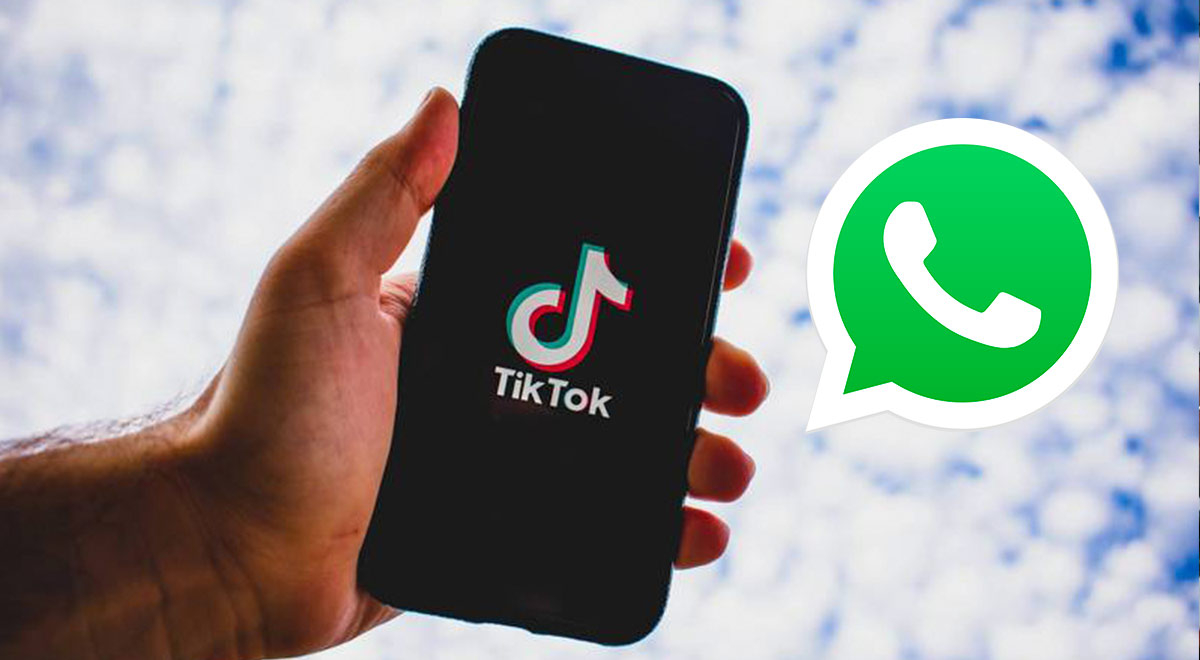 Cómo pasar videos de TikTok a los estados de WhatsApp en sencillos pasos