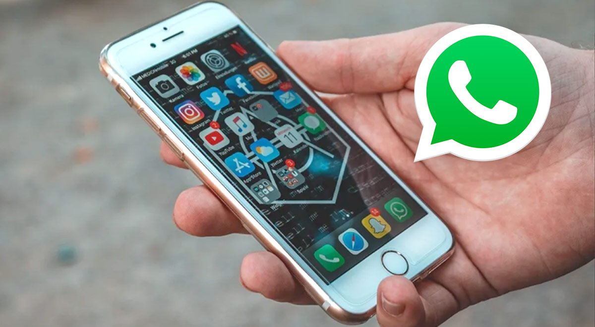 WhatsApp conoce qué celulares quedarán sin la app desde el 1 de enero