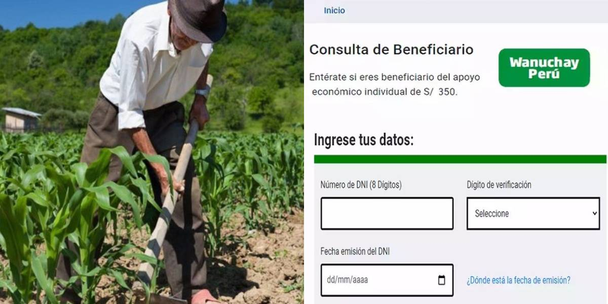 Bono Wanuchay Enero Consulta Si Accedes Al Beneficio Y Revisa