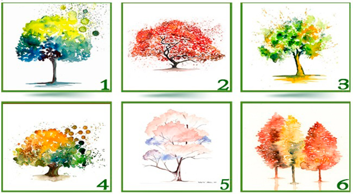 ¿Qué árbol prefieres? Descubre tu mayor atractivo con test de personalidad