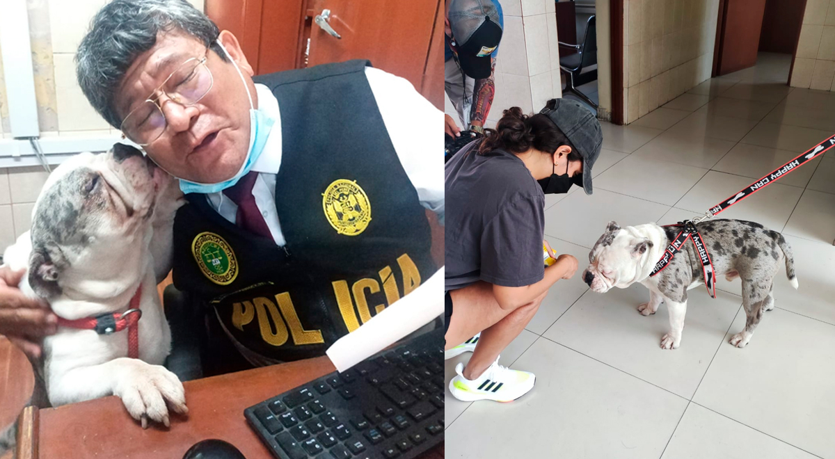Perrito que sufrió maltratos encontró nuevo hogar junto con la Policía Nacional