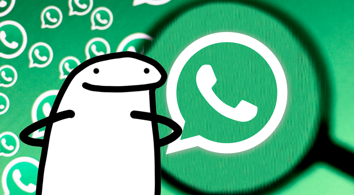 WhatsApp: descarga los stickers de Flork, el protagonista de los mejores memes