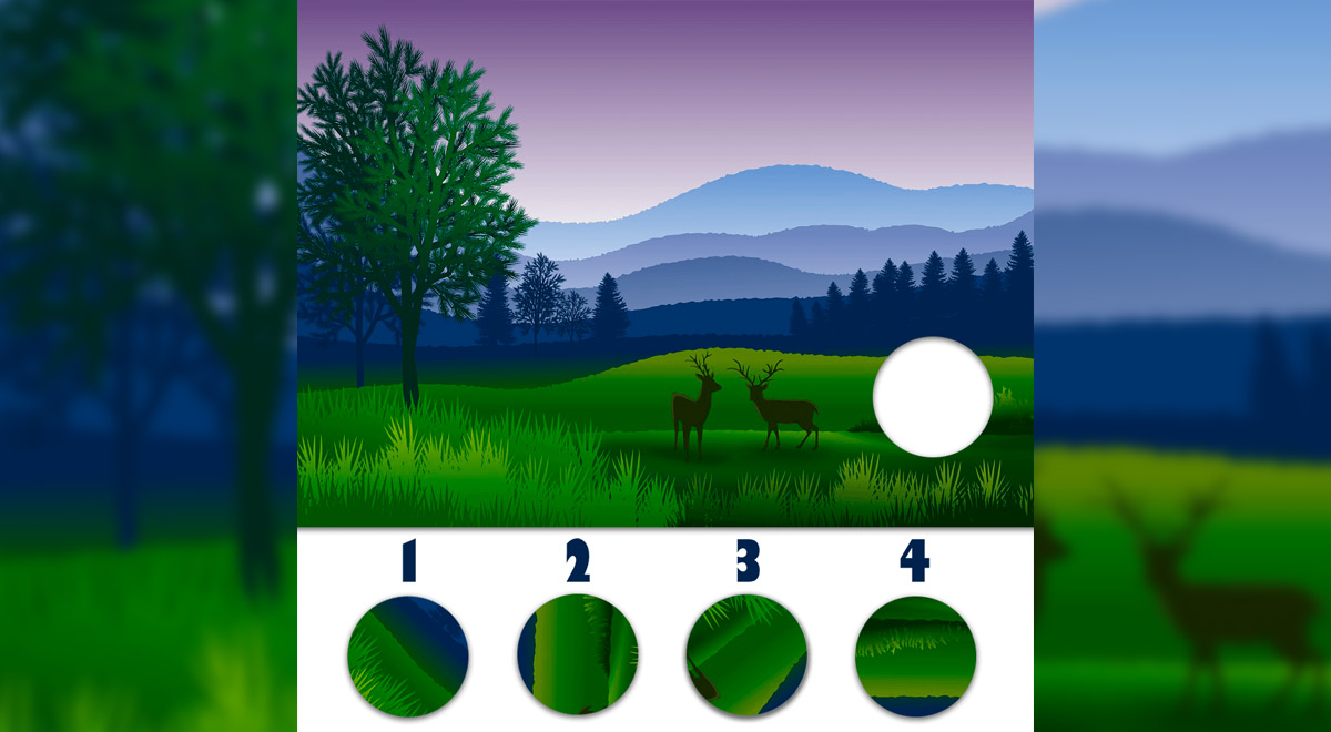 Reto visual solo para GENIOS: ubica la pieza correcta en 10 segundos