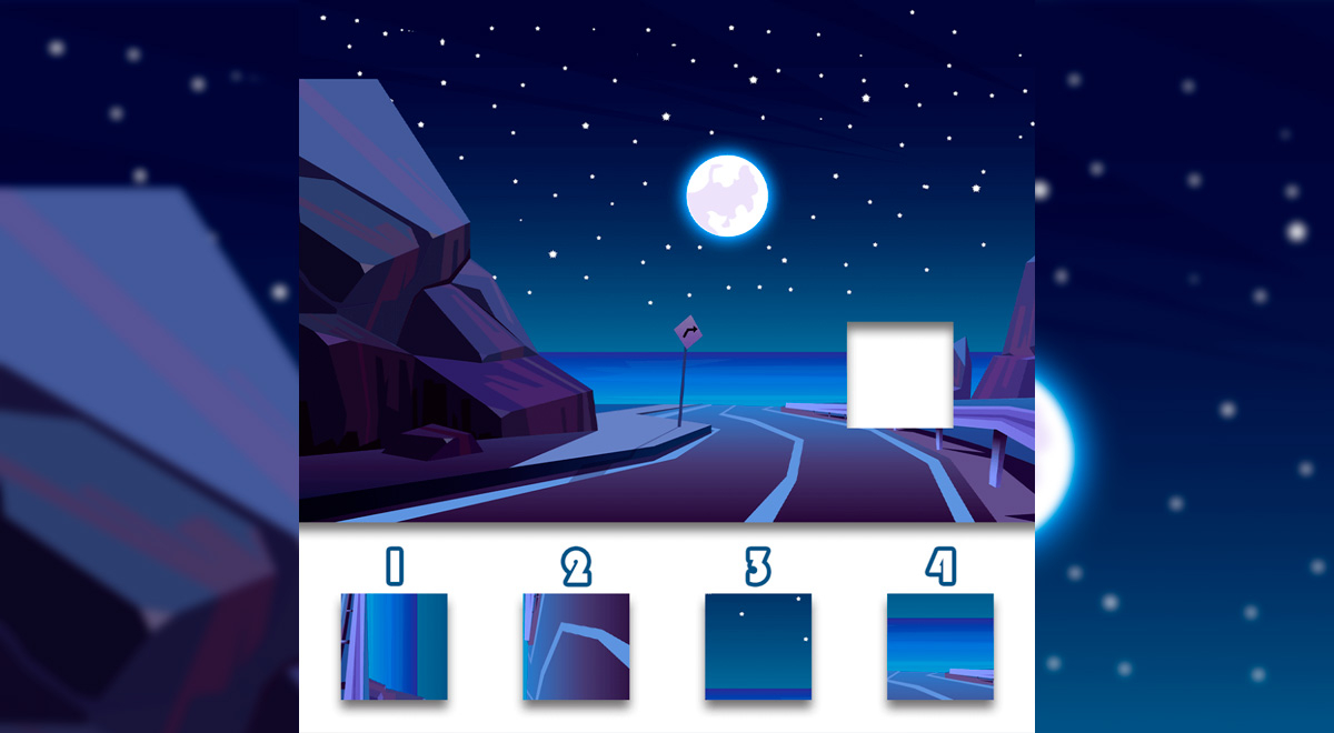 What is the correct piece? Prove that you are a GENIUS by overcoming this visual challenge.