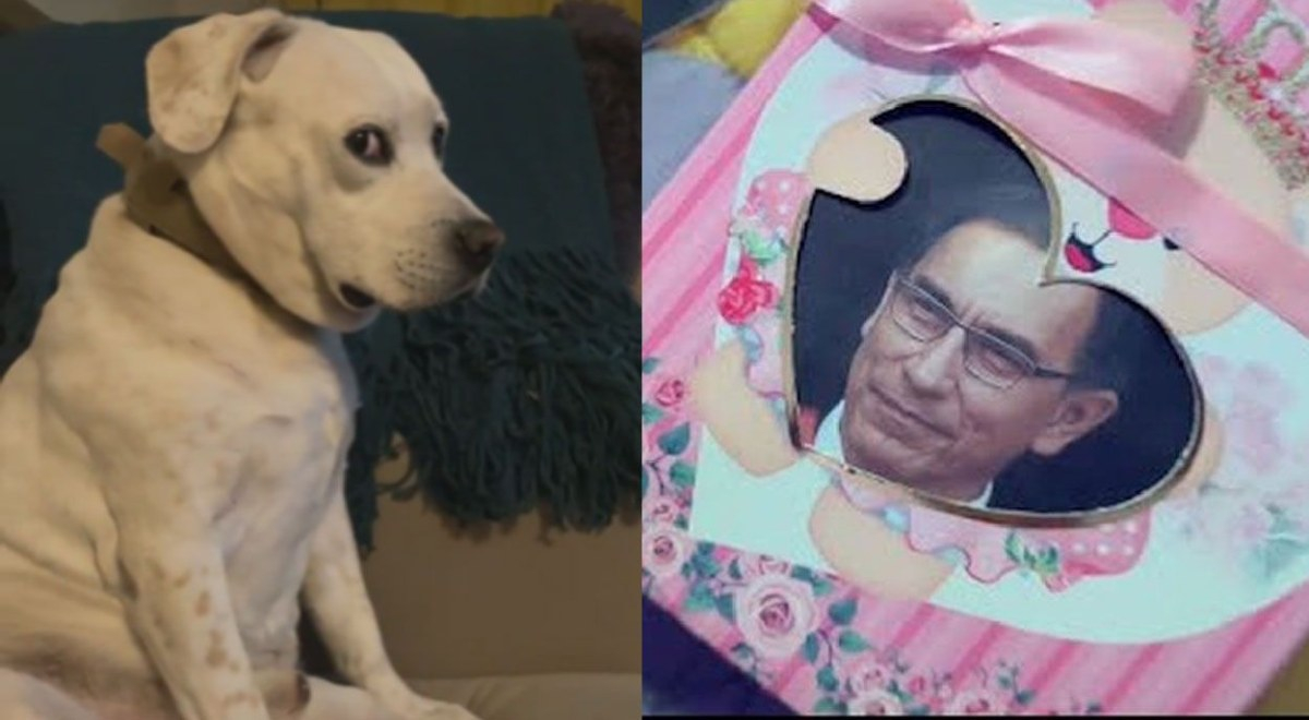 'Bebito fiu fiu': perrito se enoja cuando su dueña pone el viral