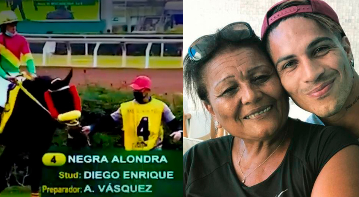 'Negra Alondra', así se llama la yegua de Paolo Guerrero y Doña Peta