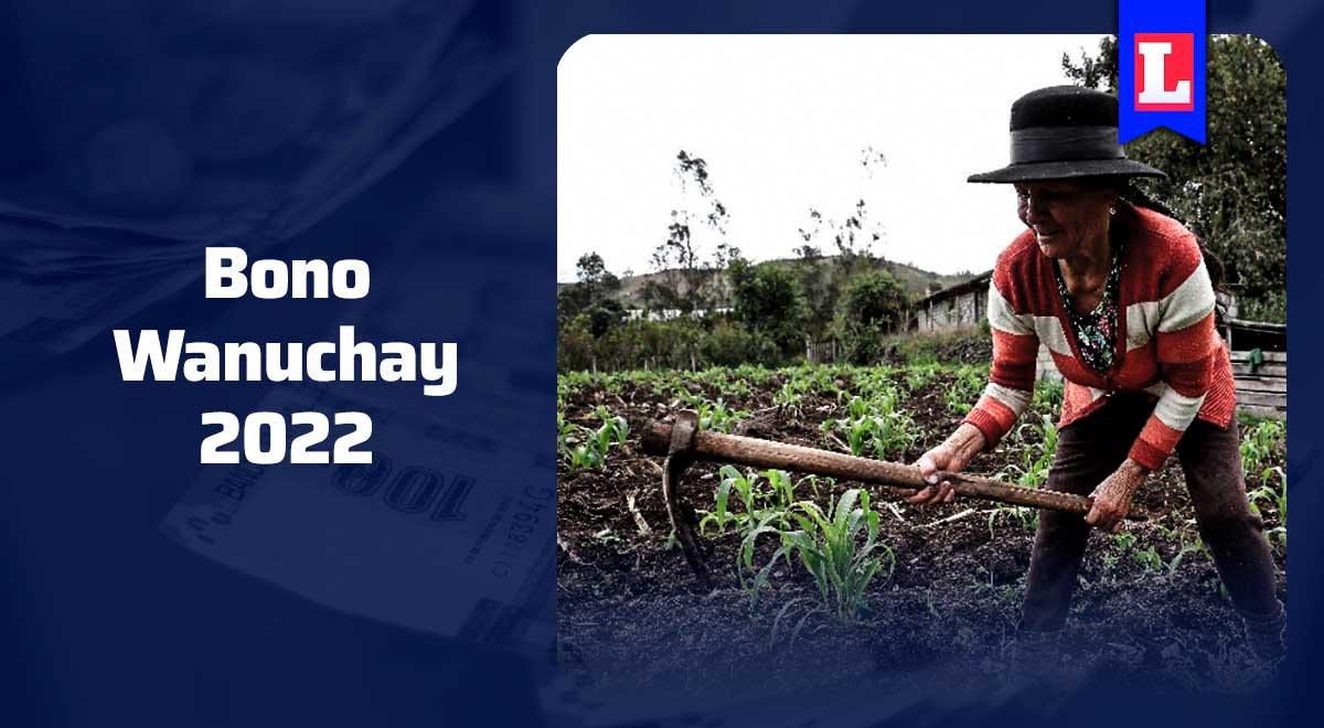 Bono Wanuchay 2022: averigua AQUÍ si eres beneficiario del apoyo económico