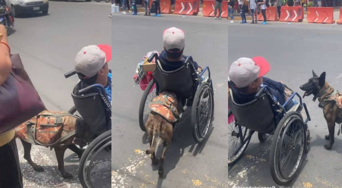 ¡Tierna escena! Perrito se viraliza por ayudar a su dueño con discapacidad a cruzar la pista