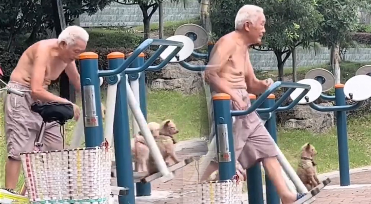 Abuelo hace ejercicio junto a sus perritos causando ternura y se vuelve viral 