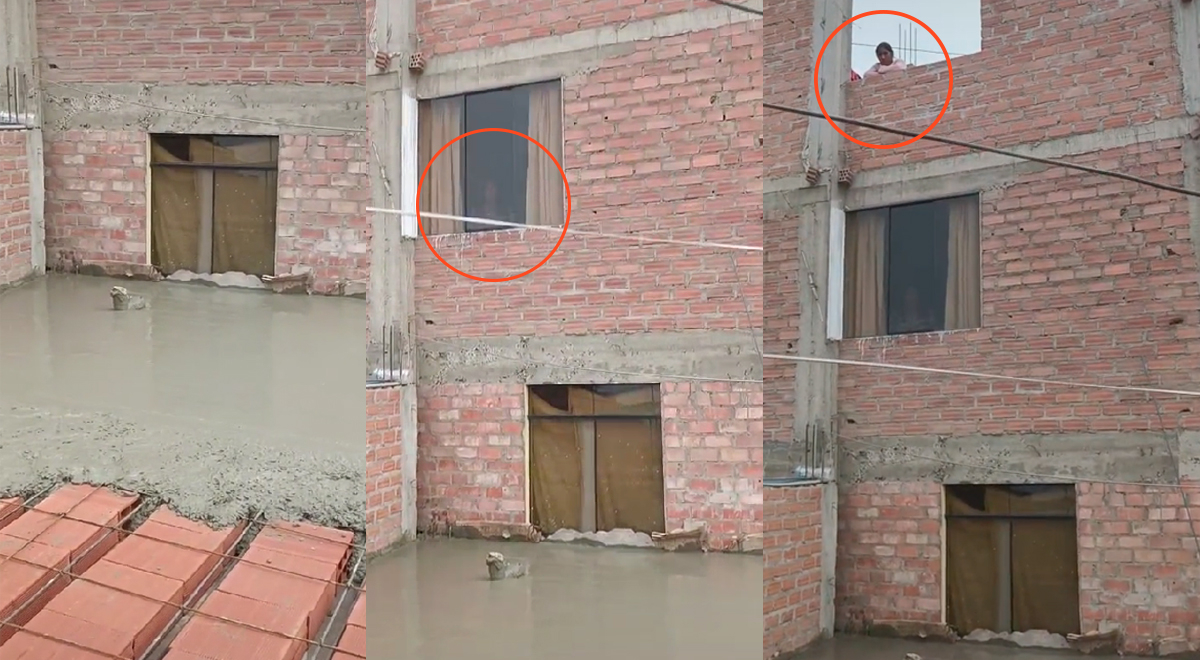 TikTok: Peruano construyó su segundo piso y dejó sin ventana a su vecina 