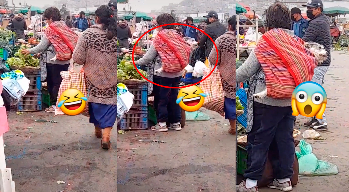 Peruana carga a su mascota con una manta, como si fuera su 'bebé', y escena conmueve