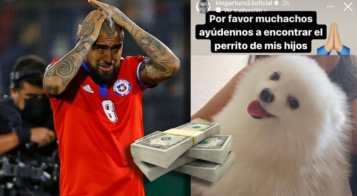 Arturo Vidal ofrece 'millonaria' recompensa a quien encuentre al perro extraviado de sus hijos