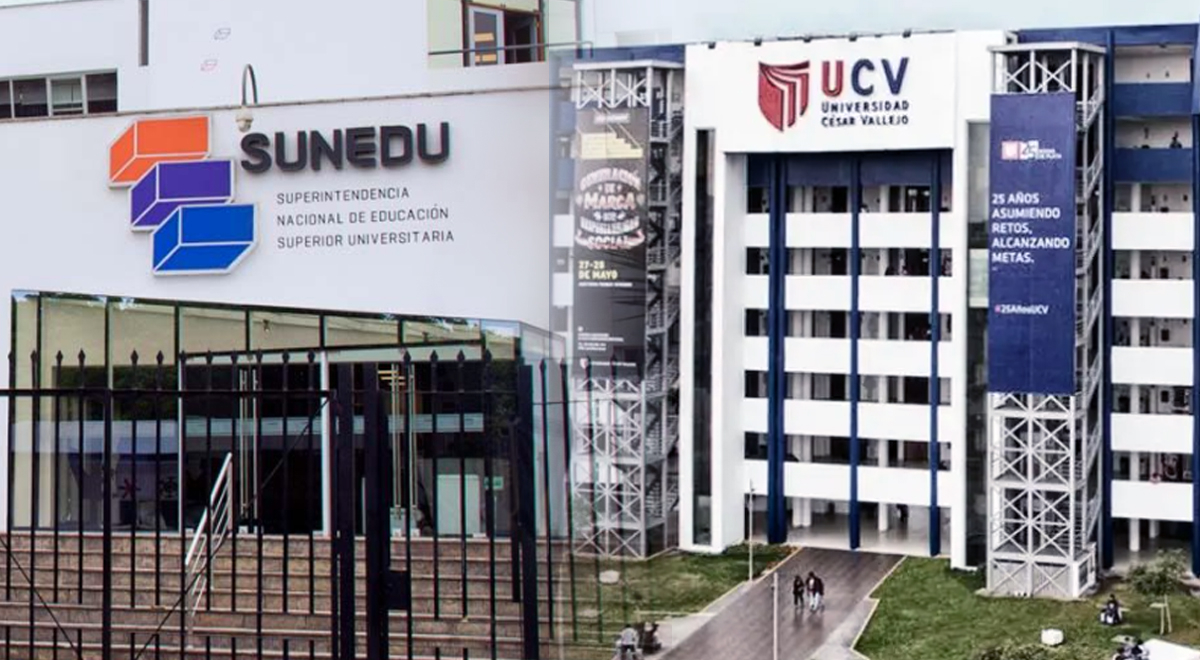 Sunedu se pronuncia tras denuncia de científico por plagio en tesis de la UCV