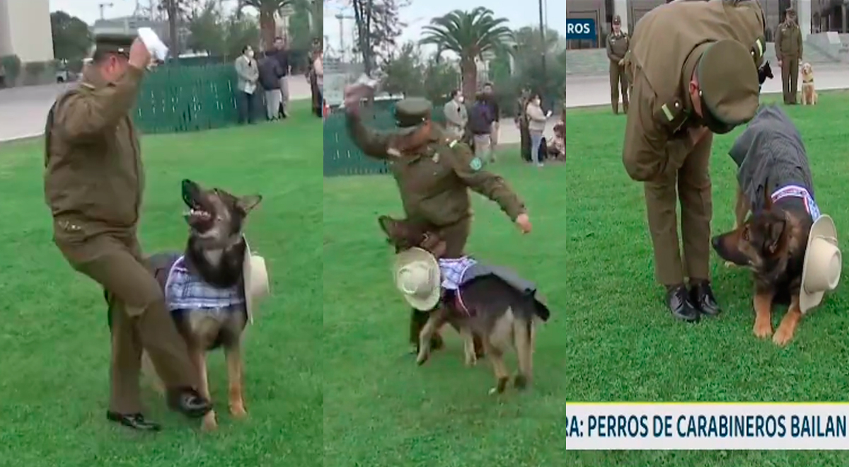 'Carabinero' chileno reta a perro a bailar marinera peruana y este saca los 'pasos prohibidos'