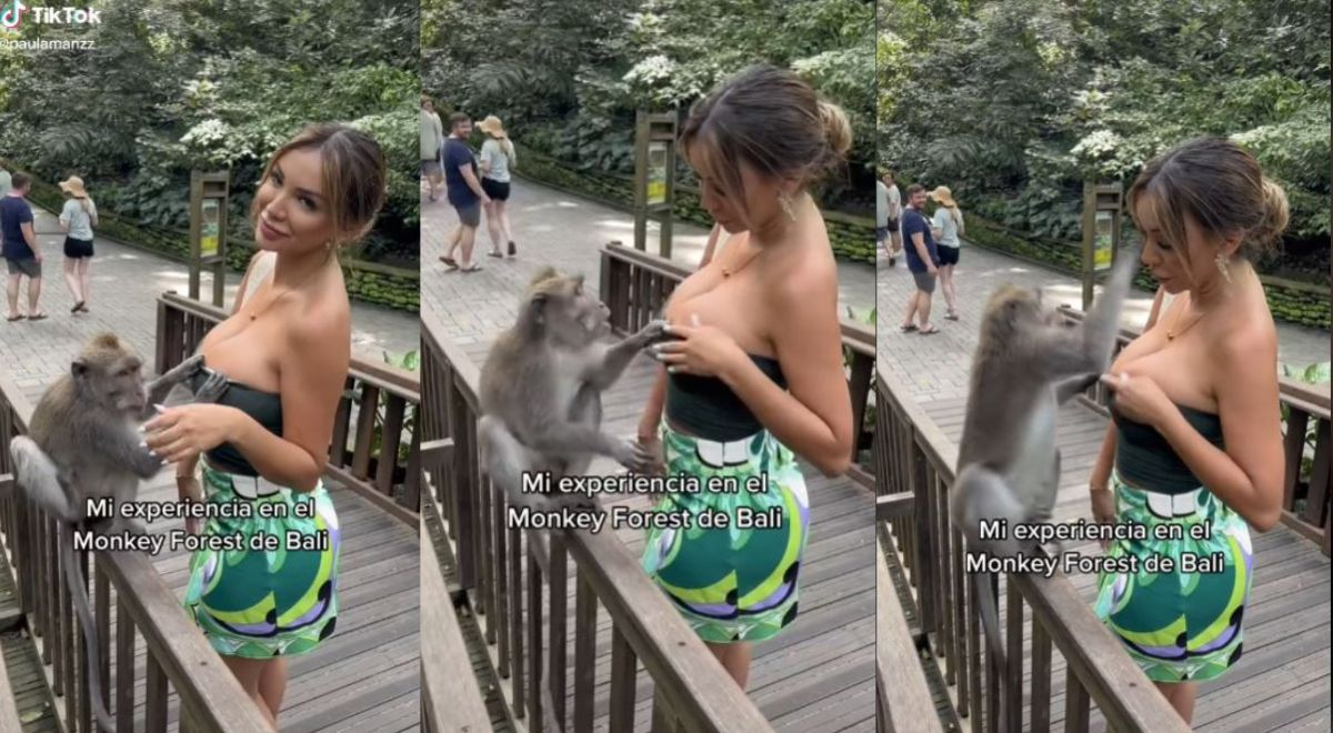 Paula Manzanal fue sorprendida por intrépido mono que intentó arrancharle su blusa 