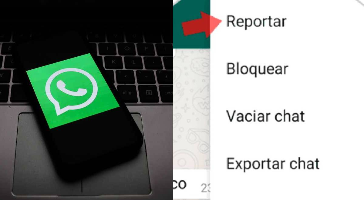 WhatsApp 2022: ¿Qué ocurrirá con la app si alguien reporta tu cuenta?