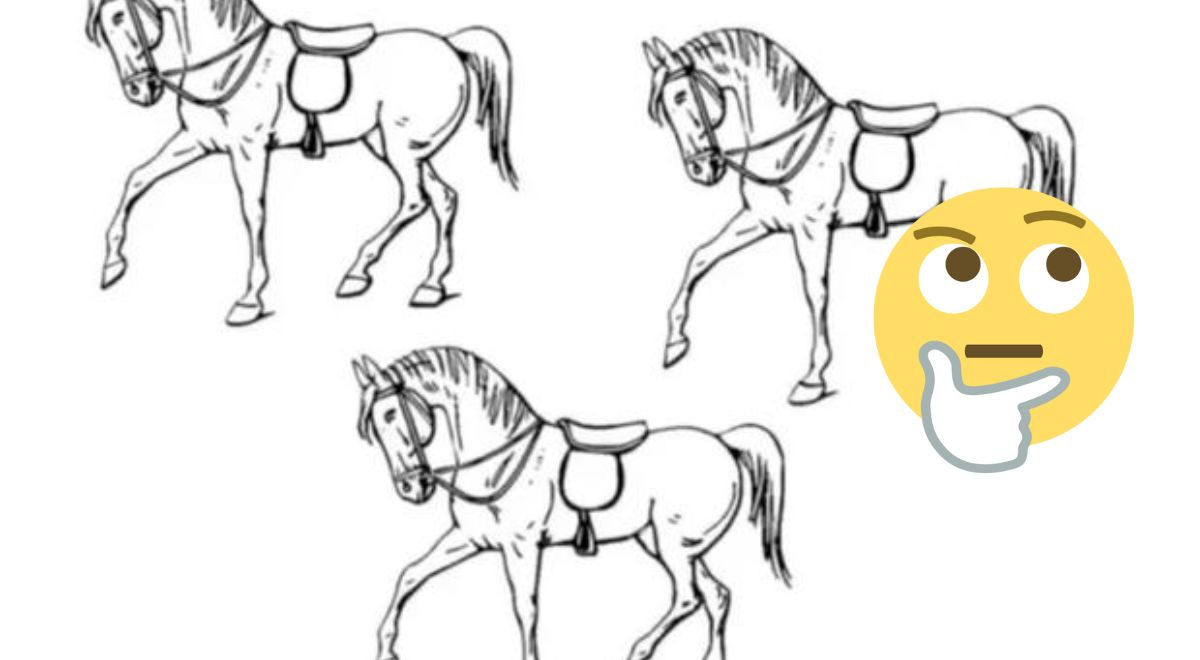 ¿Podrás descifrar qué caballo es el diferente? Descúbrelo en 7 segundos