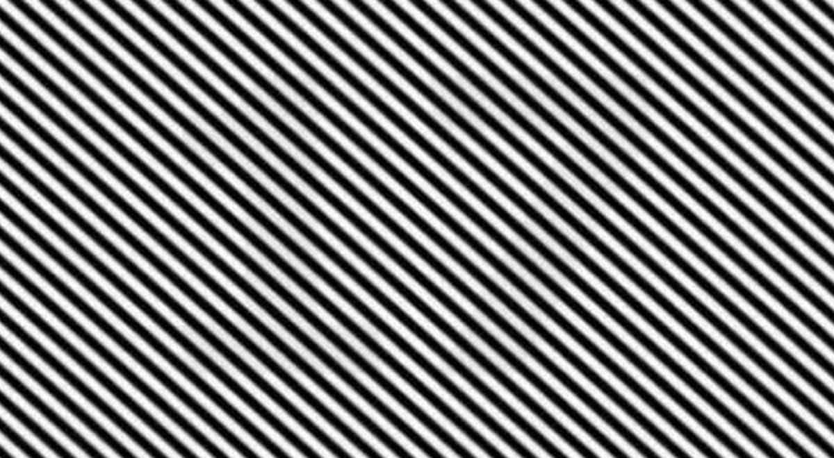 ¿Qué número se esconde en esta ilusión óptica? Usa tu visión de rayos X y ubica la solución