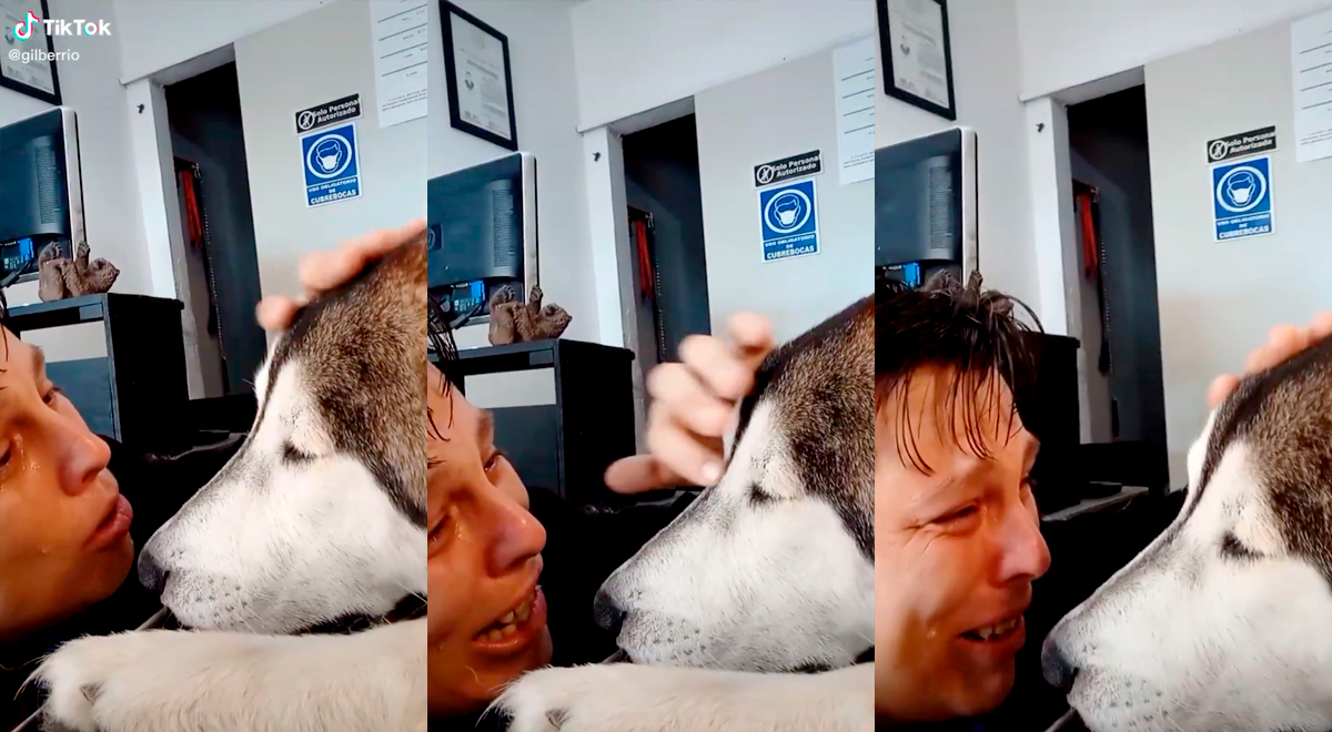 Joven le da el último adiós a su perro entre lágrimas y escena viral conmueve en redes