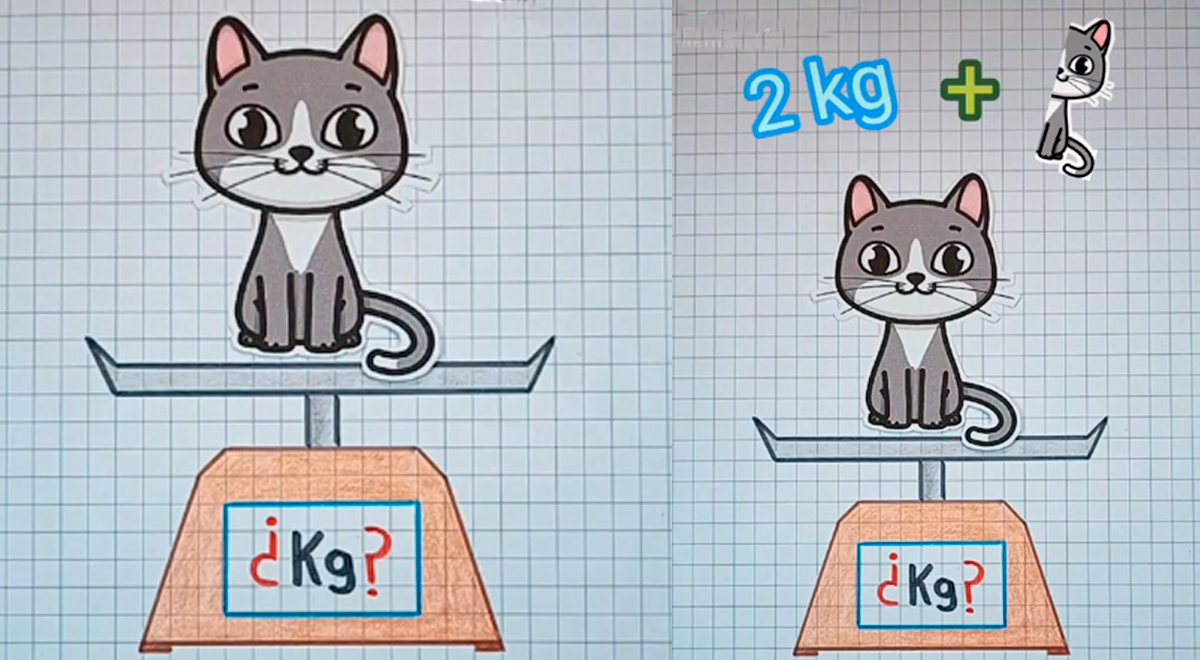 ¿Cuánto pesa el gatito? El acertijo que ha dejado confundido a más de uno
