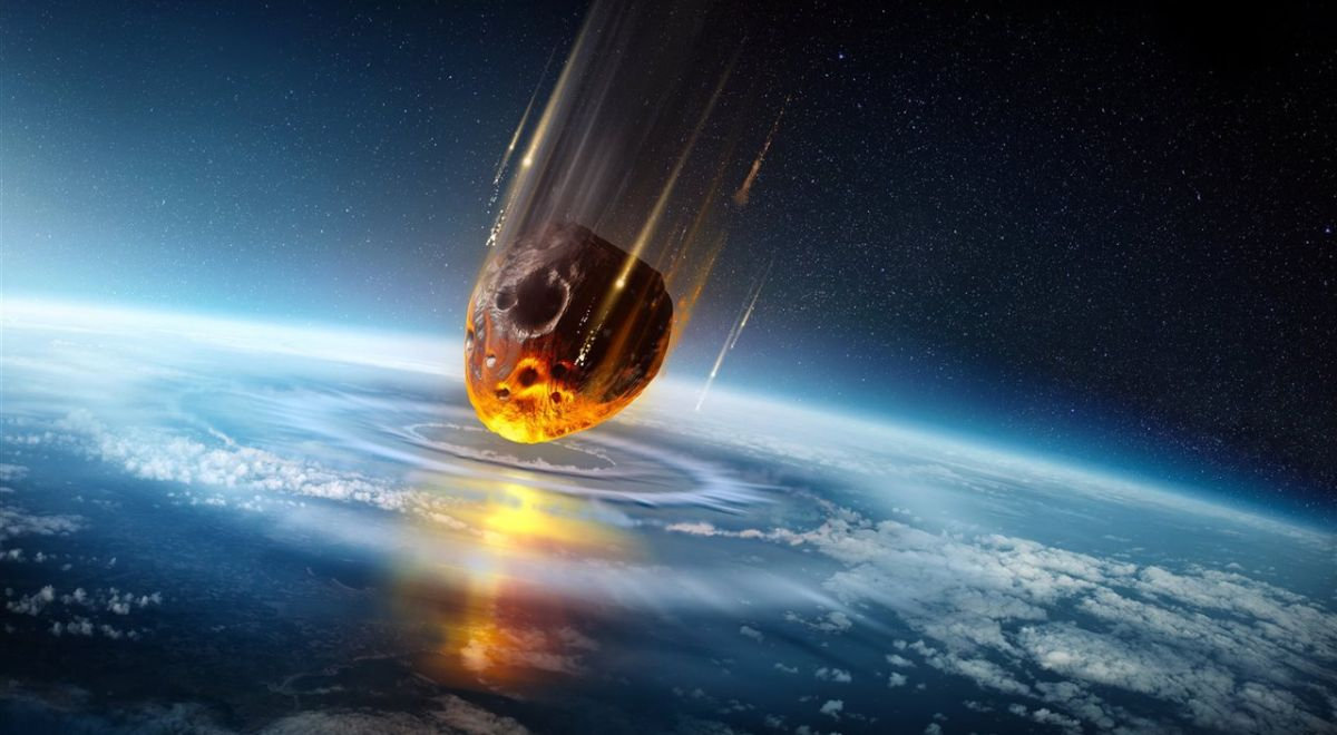 ¿Cuál fue el animal que sobrevivió al asteroide que extinguió a los dinosaurios?