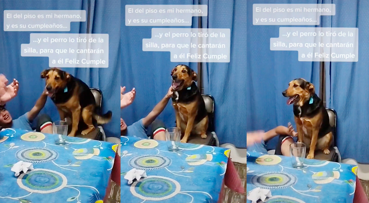 Tiktok: perrito bota de la silla a cumpleañero para que le canten a él: 