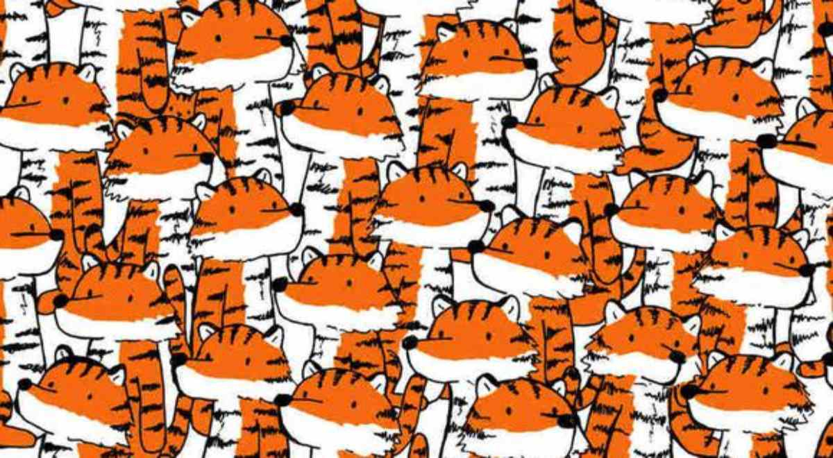 Reto visual EXTREMO: encuentra los 4 gatitos escondidos entre los tigres en solo 7 segundos