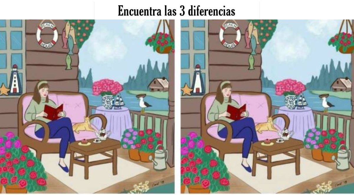 ¿serás Capaz De Hallar Las 3 Diferencias Intenta Superar Este Reto Visual En 5 Segundos Vives 