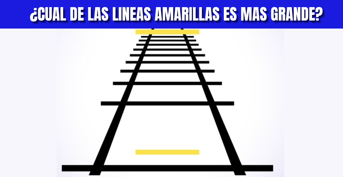 ¿Cuál de las líneas amarillas es más grande? Demuestra tu INTELIGENCIA con esta ilusión