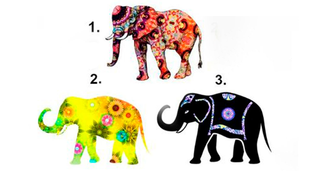 ¿Qué elefante te llama la atención? Este curioso test revelará tus mayores deseos