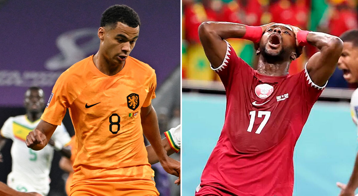 Países Bajos vs Qatar EN VIVO: hora y dónde ver el partido por la fecha 3 del Mundial