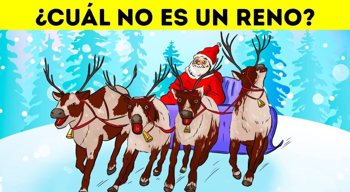 ¿Cuál no es un reno? Ayuda a Papa Noel a identificar al falso animal, el 98% falló