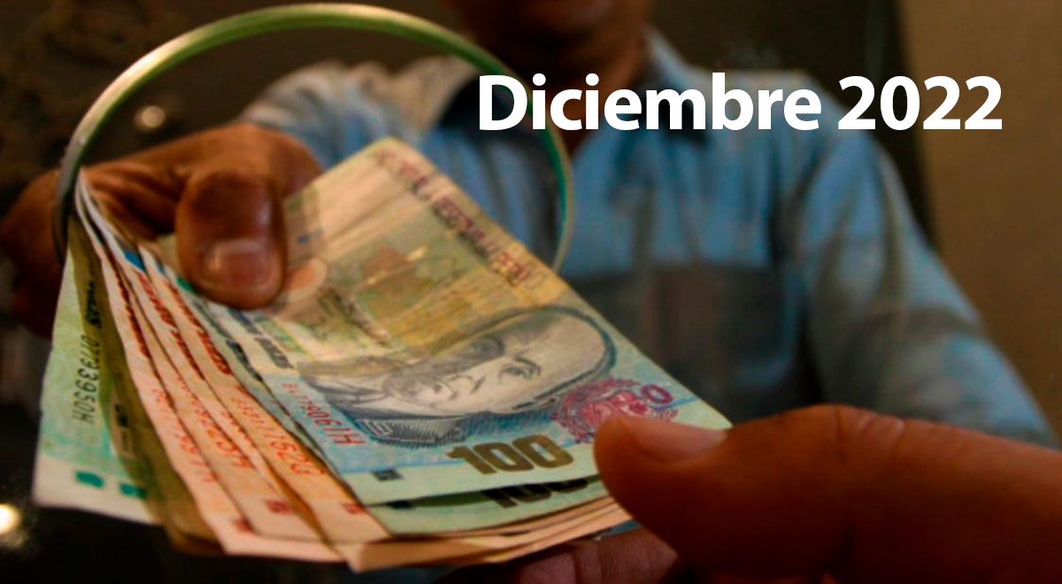 ¿Qué bonos podemos cobrar los peruanos en diciembre?