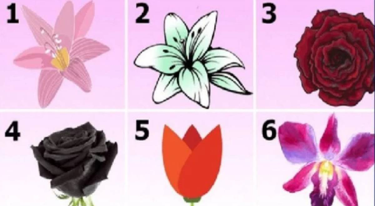 ¿Qué es lo más valioso en tu vida? Descúbrelo eligiendo tu flor favorita