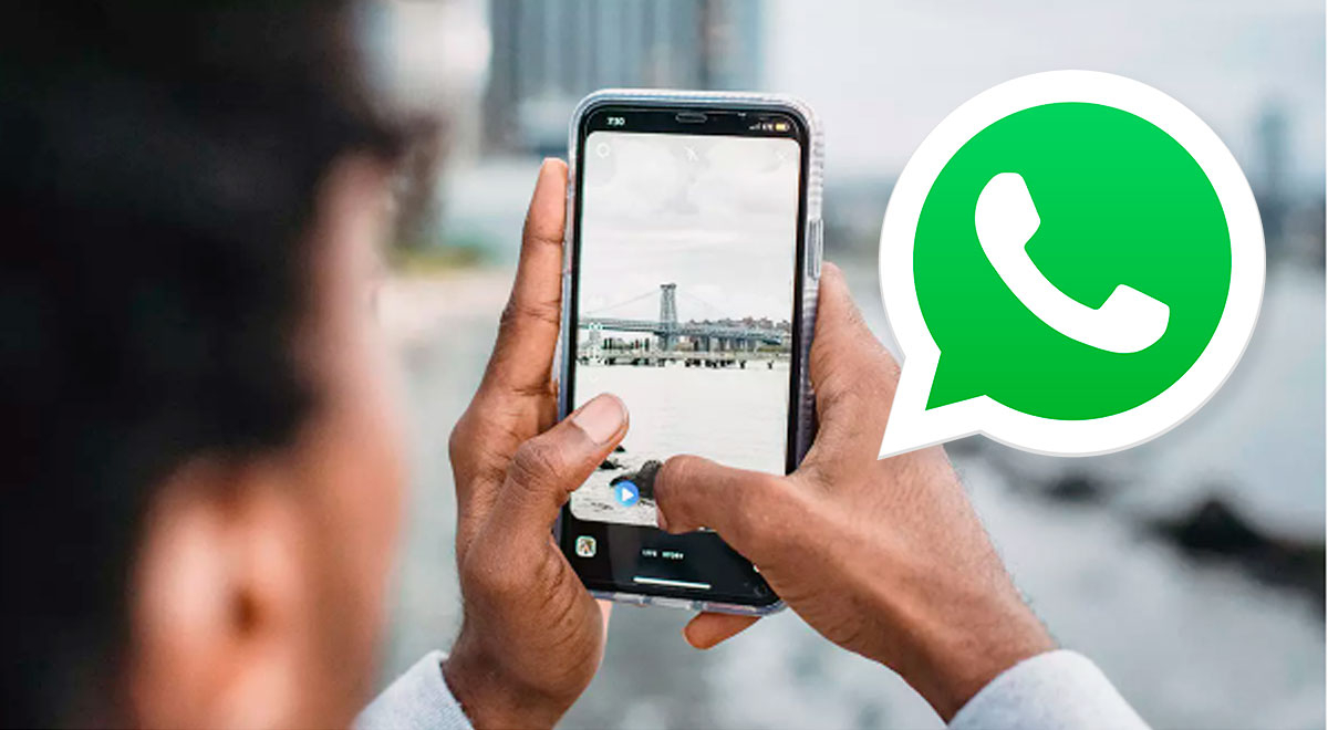 ¿Qué es el 'modo cámara' de WhatsApp y cómo activarlo en tu celular?