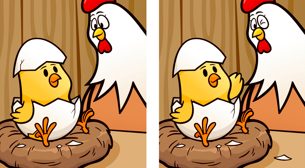 El reto visual de la gallina y su pollito esconde 5 diferencias: ¿Podrás encontrarlas?