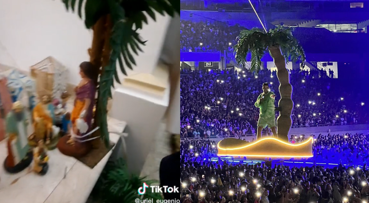 Christmas in full reggaeton: Build a nativity scene with the pastor on a 'flying' palm tree like Bad Bunny.