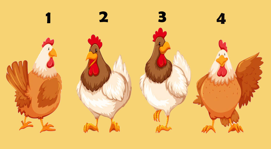 Este test te pide elegir una gallina y así sabrás si en realidad eres un cobarde