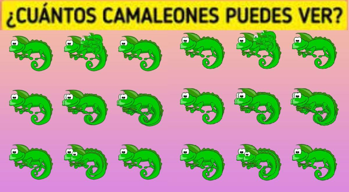 ¿Lograrás acertar en el número de camaleones? Solo 2% superó este reto de 8 segundos