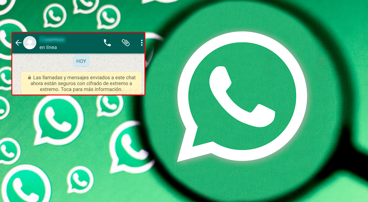 WhatsApp: ¿Cómo activar el cifrado de extremo a extremo para proteger la privacidad?