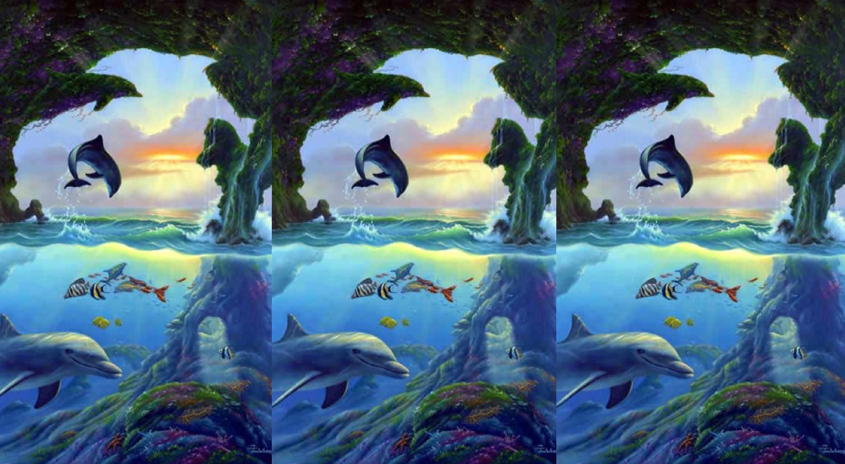 ¿Podrás hallar los 7 delfines? Tienes 5 segundos para demostrar toda tu INTELIGENCIA