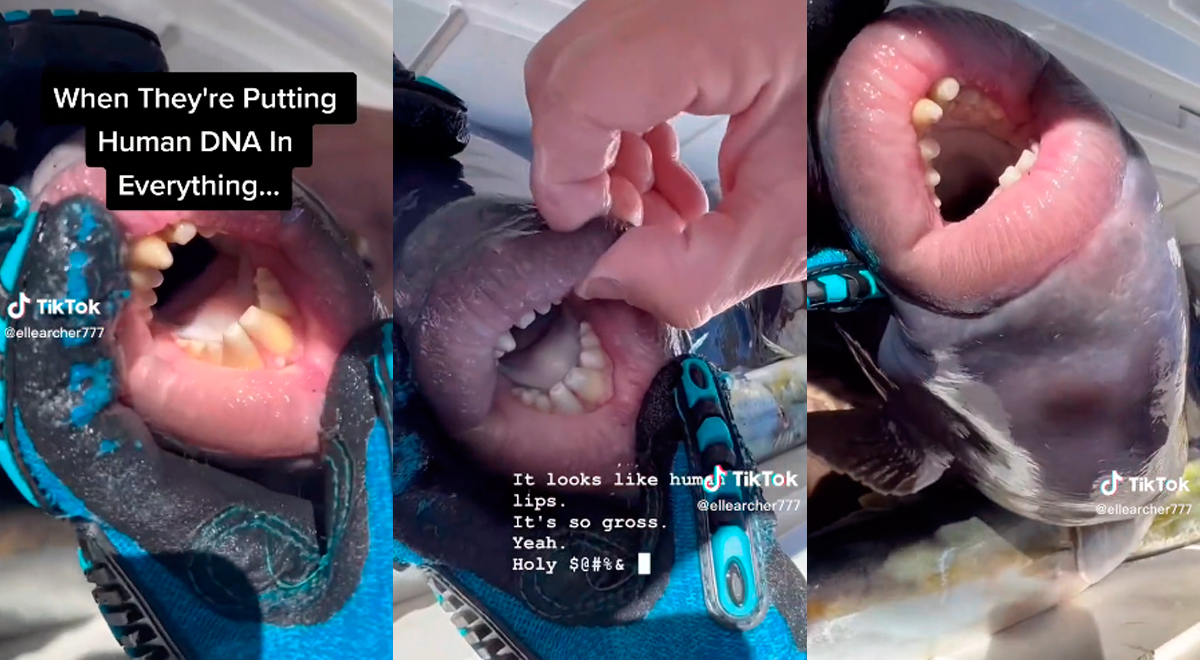 Extraña 'criatura acuática' con dientes humanos aterroriza a usuarios de TikTok