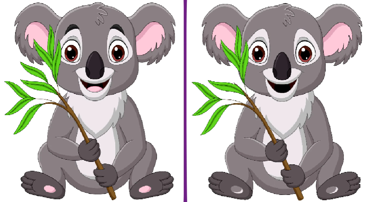 Encuentra la 6 diferencias entre los koalas: El 99.5% de personas NO superó el reto