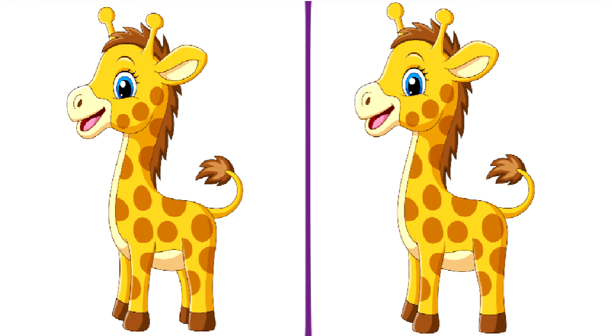Identifica la ÚNICA diferencia entre las jirafas: ¿Superarás el reto en menos de 5 segundos?