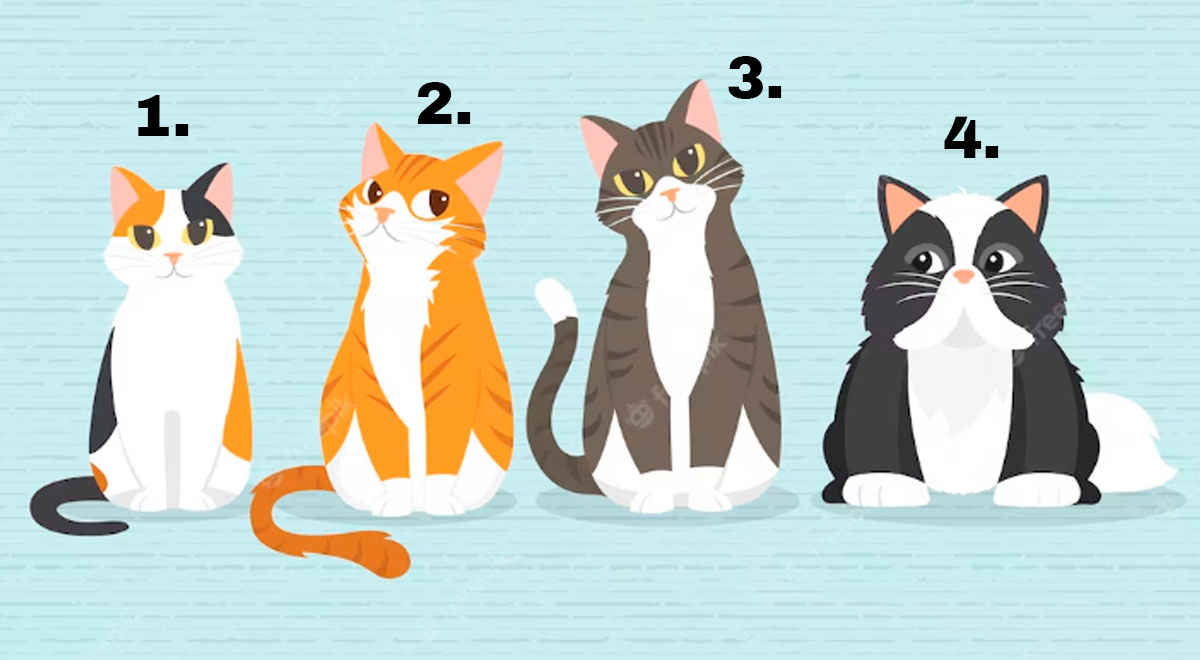 ¿Qué gatito te representa? Escoge uno y este test revelerá si eres alguien ocioso